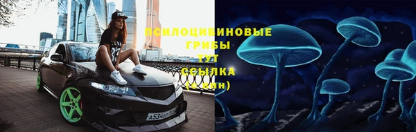 героин Ельня