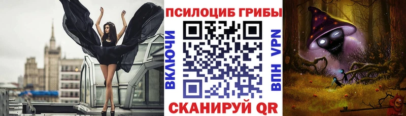 наркотики  Заринск  МЕГА зеркало  Галлюциногенные грибы ЛСД 