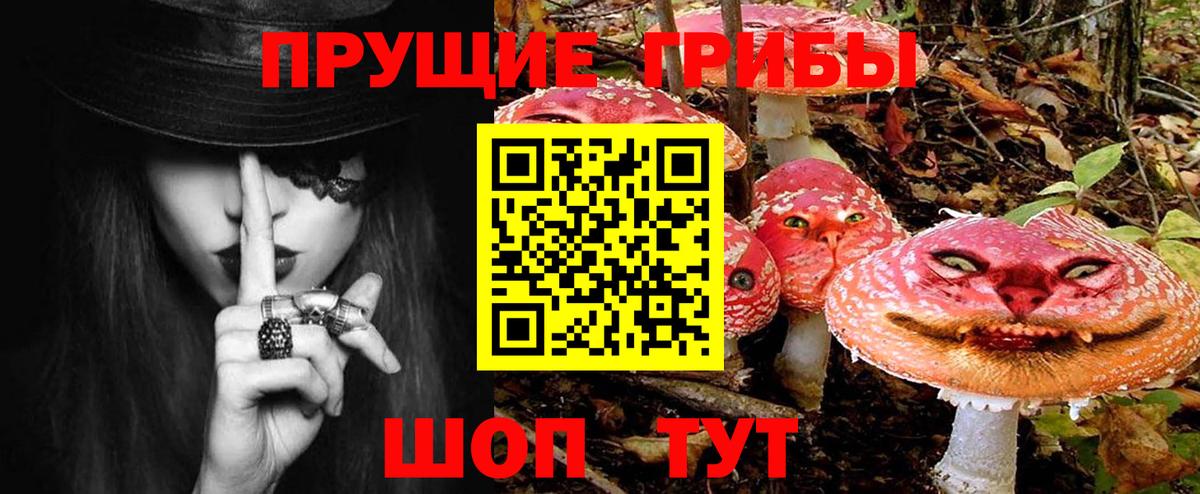 Псилоцибиновые грибы MAGIC MUSHROOMS  Заринск 