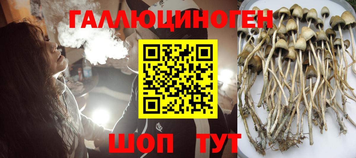 Псилоцибиновые грибы Magic Shrooms Заринск