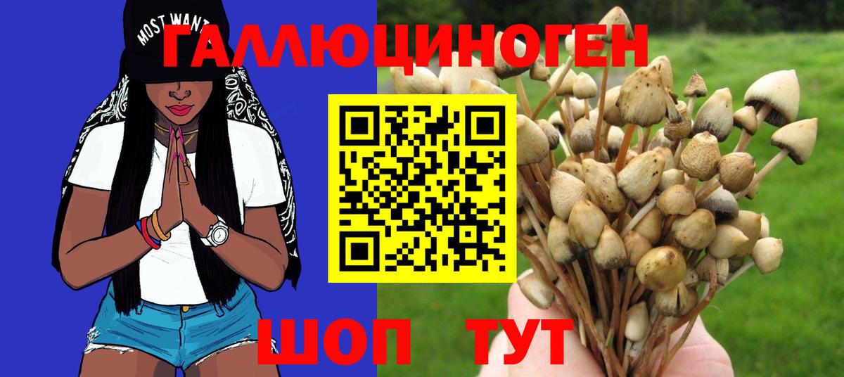Заринск  хочу   Вход с VPN  Псилоцибиновые грибы мицелий  Псилоцибиновые грибы Psilocybe 